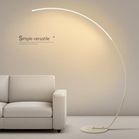 Minimalist Modern Floor Lamp - Black And White Optional (Option: White-US)