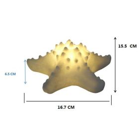 Home Scandinavian Ins Style Cute Conch Sleep Night Light (Option: Starfish lights)
